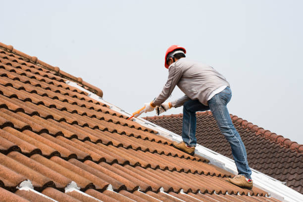 Trusted Jonesboro, IL Roofing services Experts